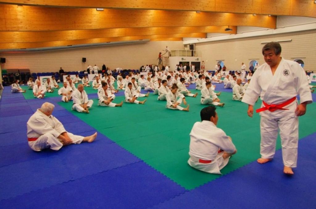 Kodokan Seminar 2013 hosted in Rome