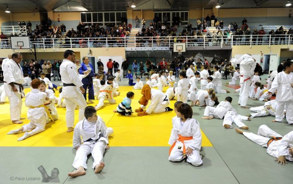 Judo at School Seminar in Madrid