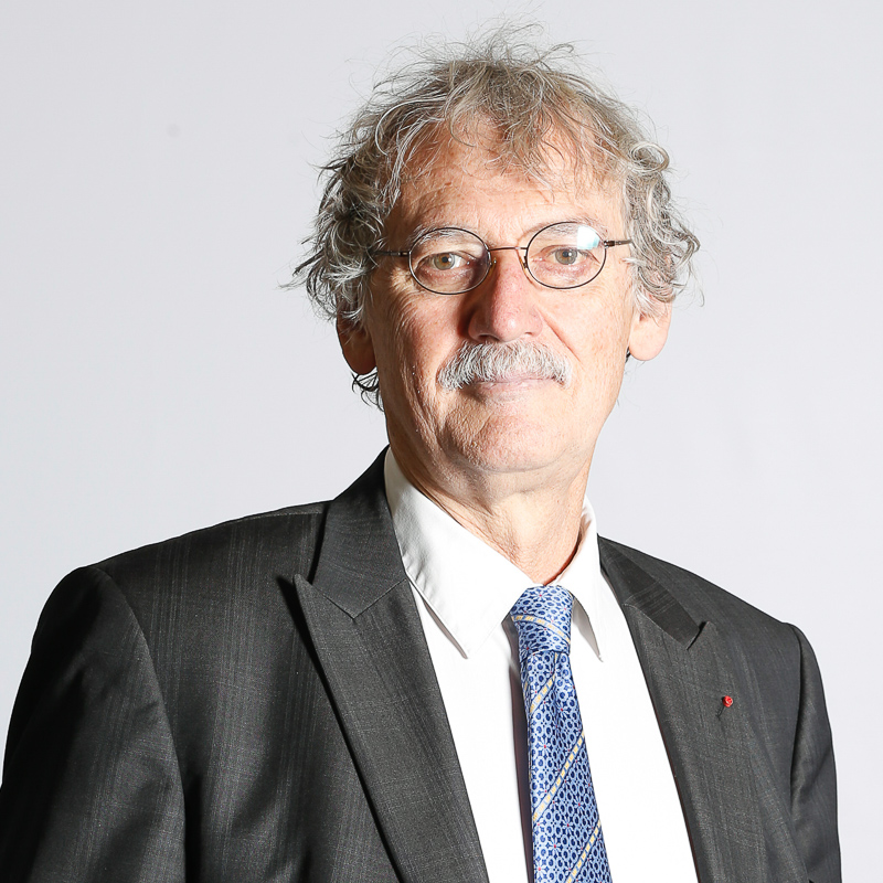 Mr. Jean Luc Rougé