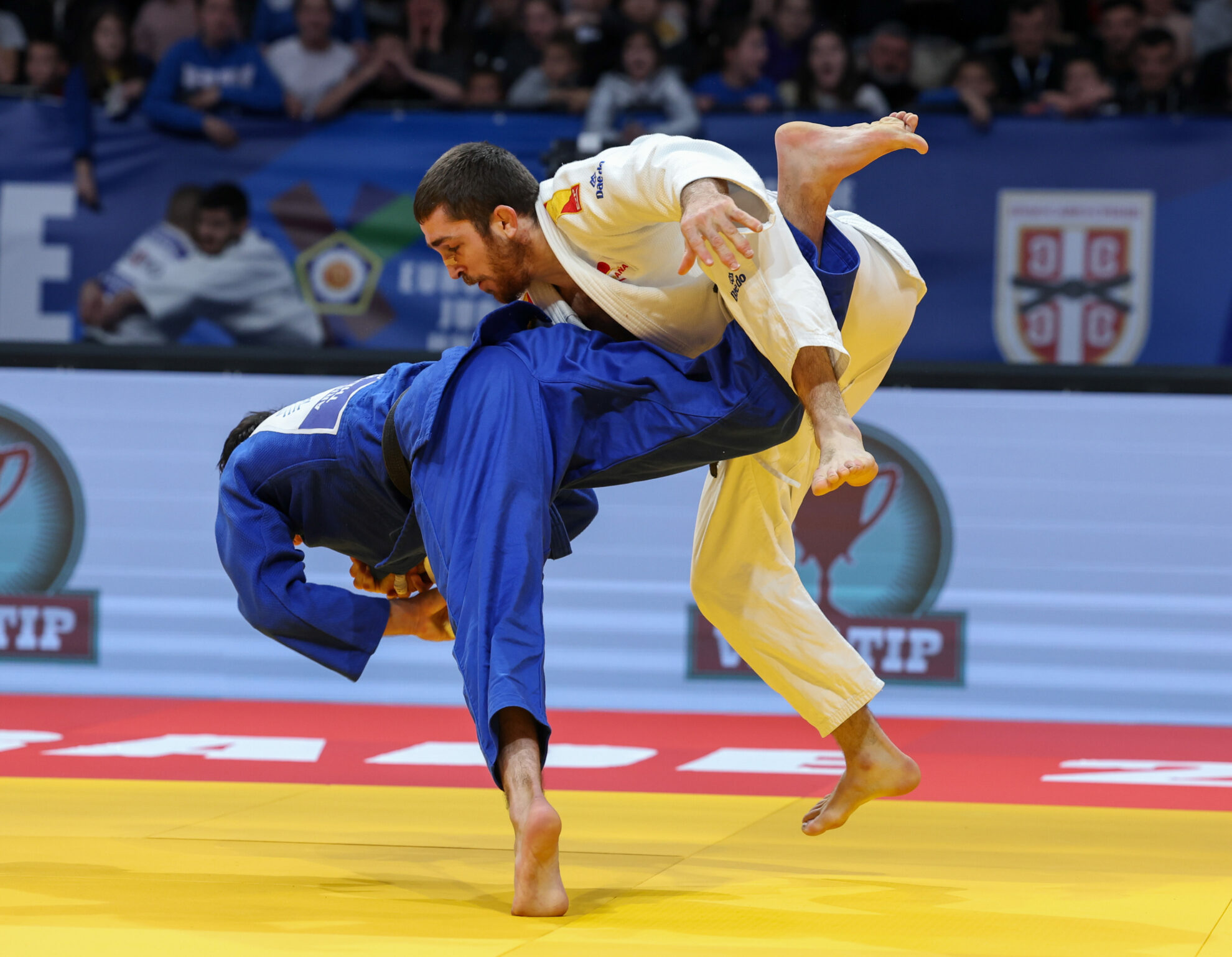 SIMPLY CRAZY - European Judo Union