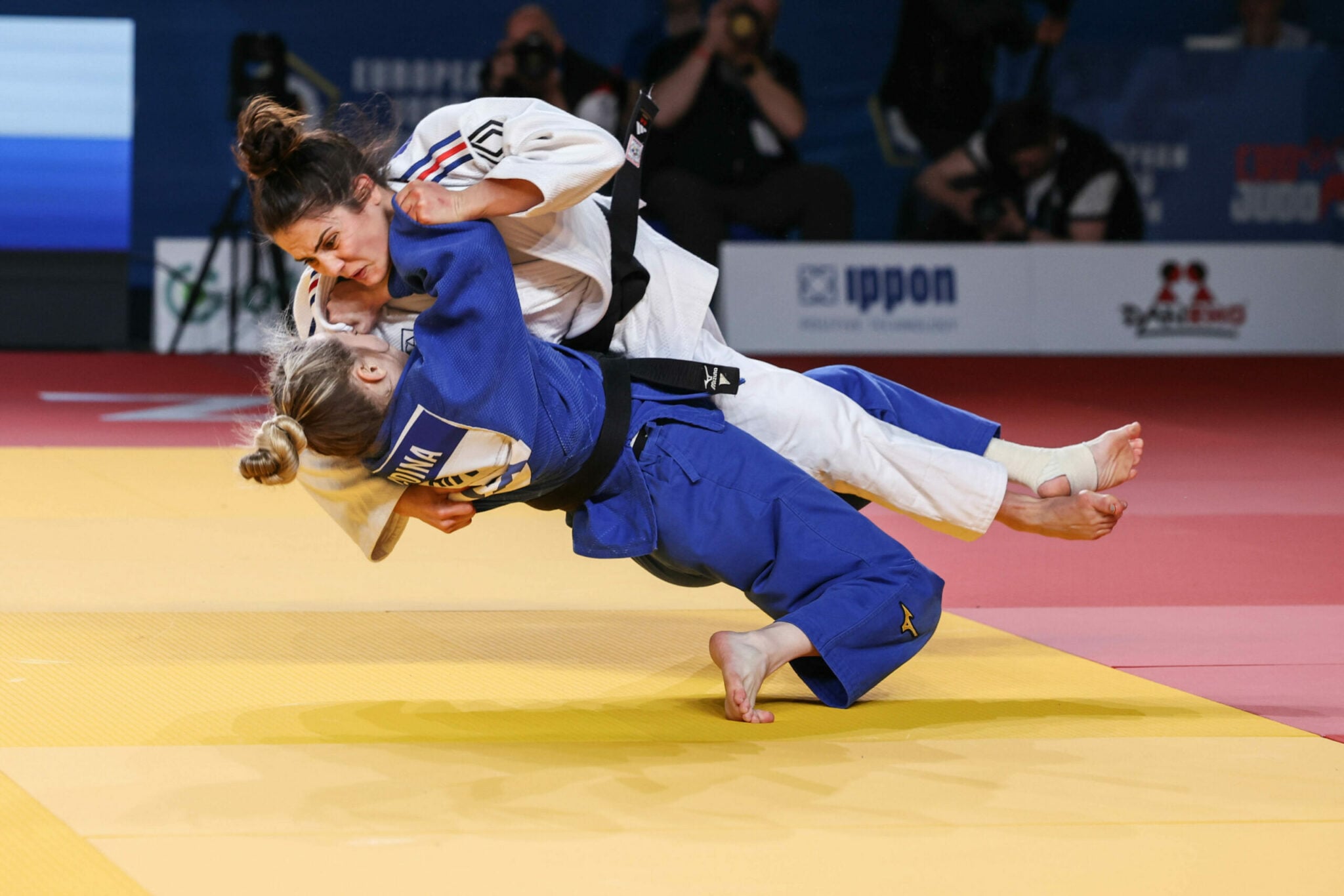 Mongolia and Japan Prepared Pont for Big Commitments