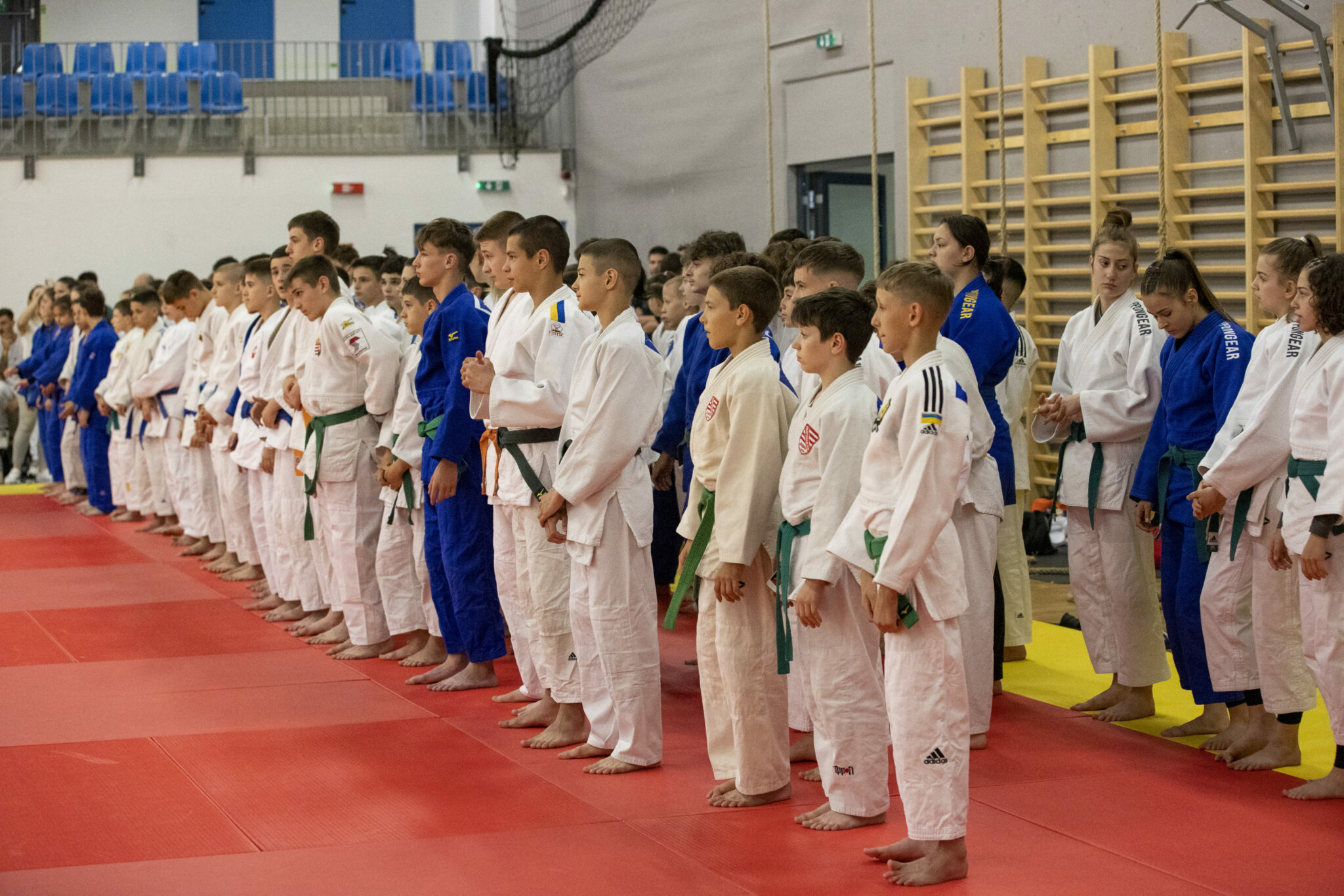 JUDO HOPES SUCCESS CONTINUED IN GYOR