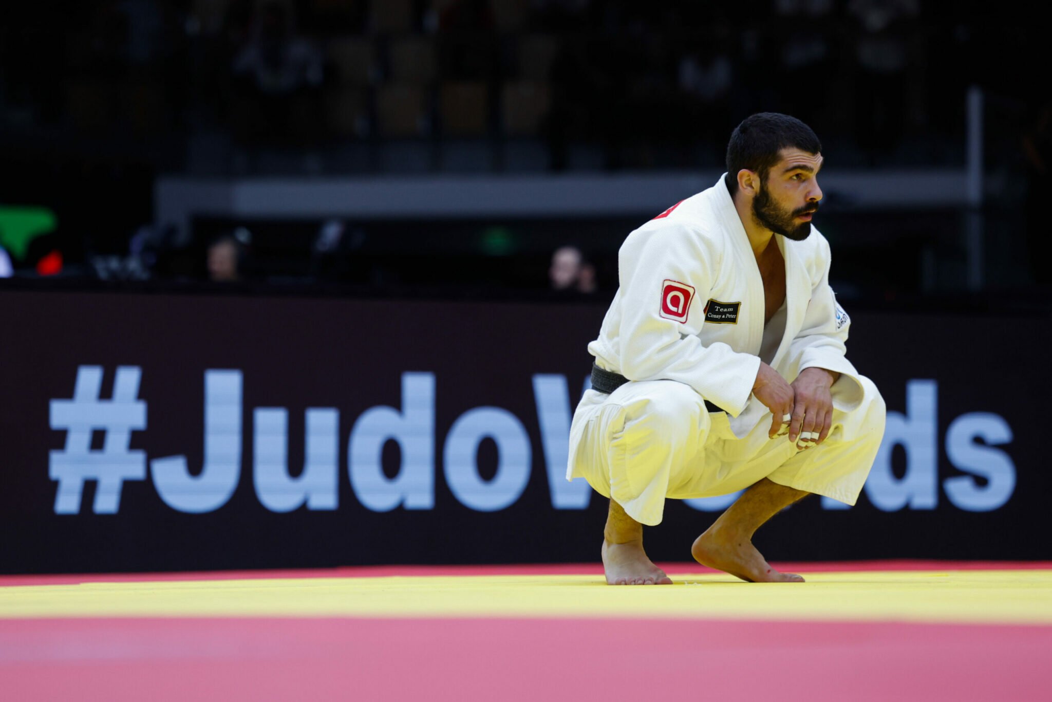 European Championships 2025: -81kg Preview