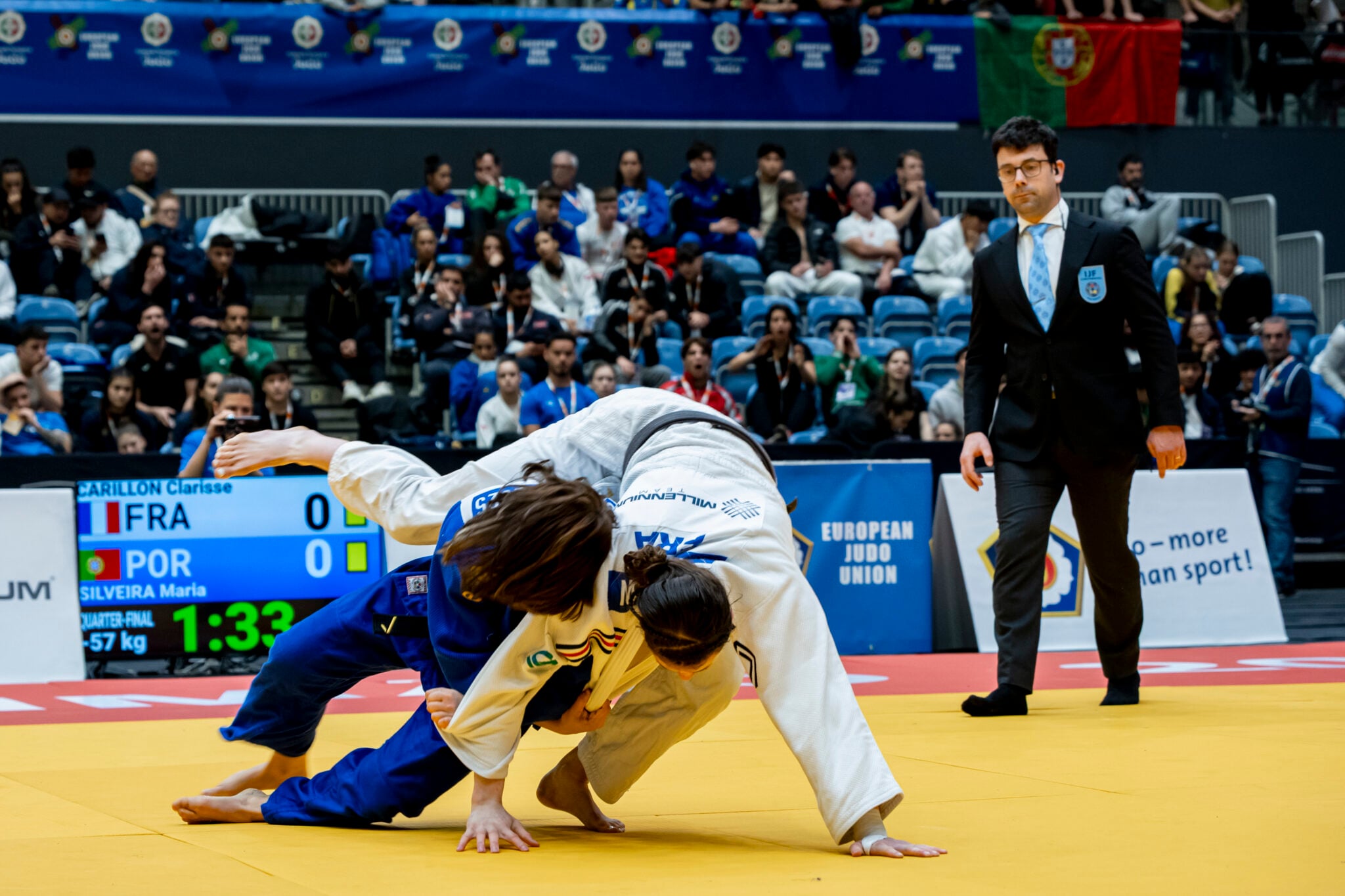 Second Year in One of the Sunniest Regions of Portugal