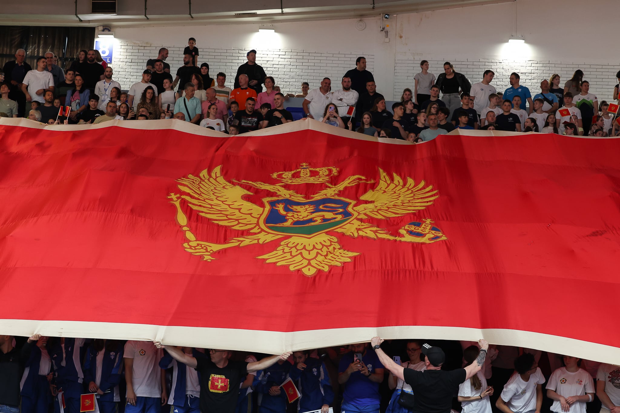 The Movement Continues in Podgorica