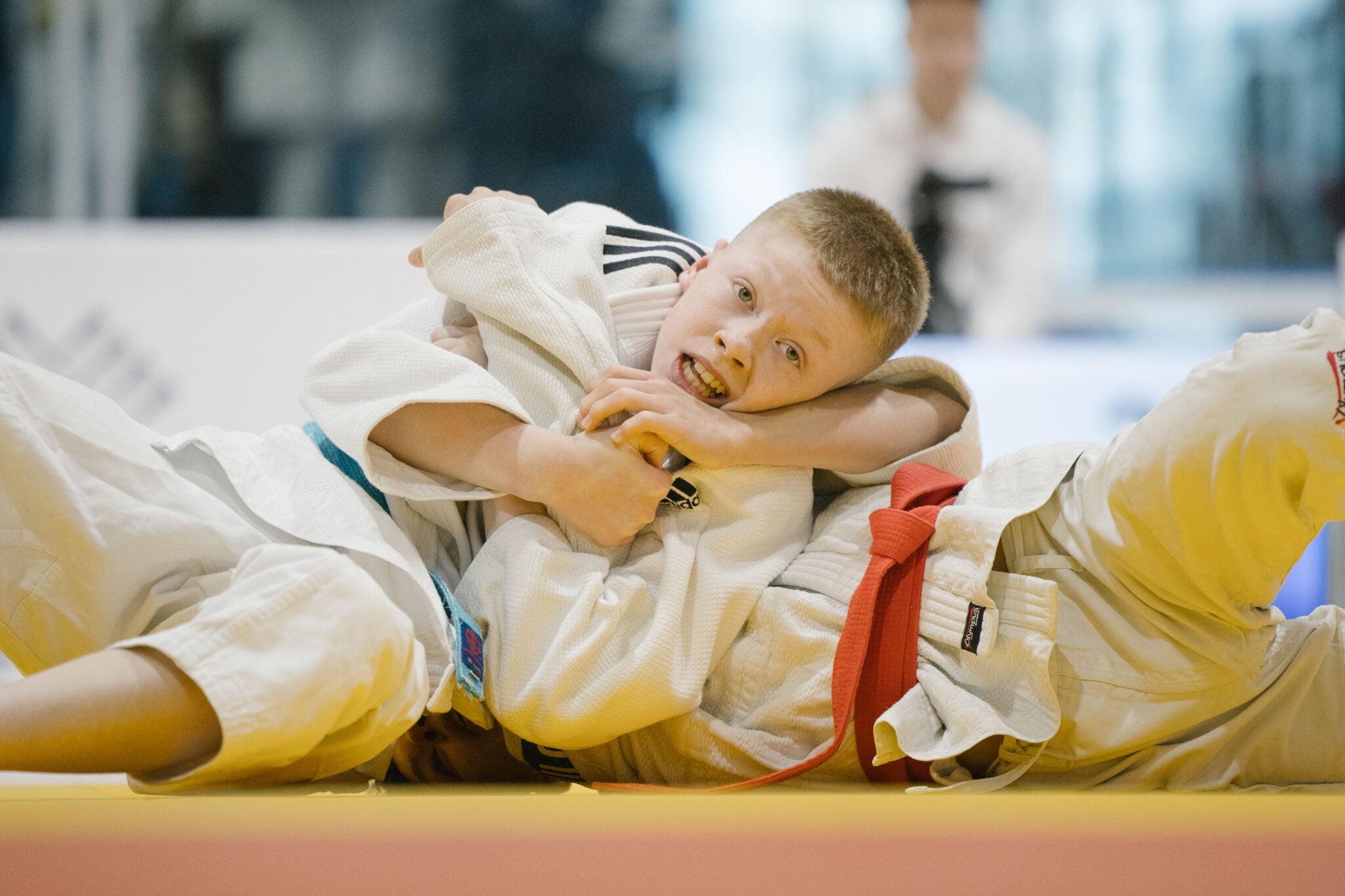 Judo Dreams Meet World-Class Expertise in Győr