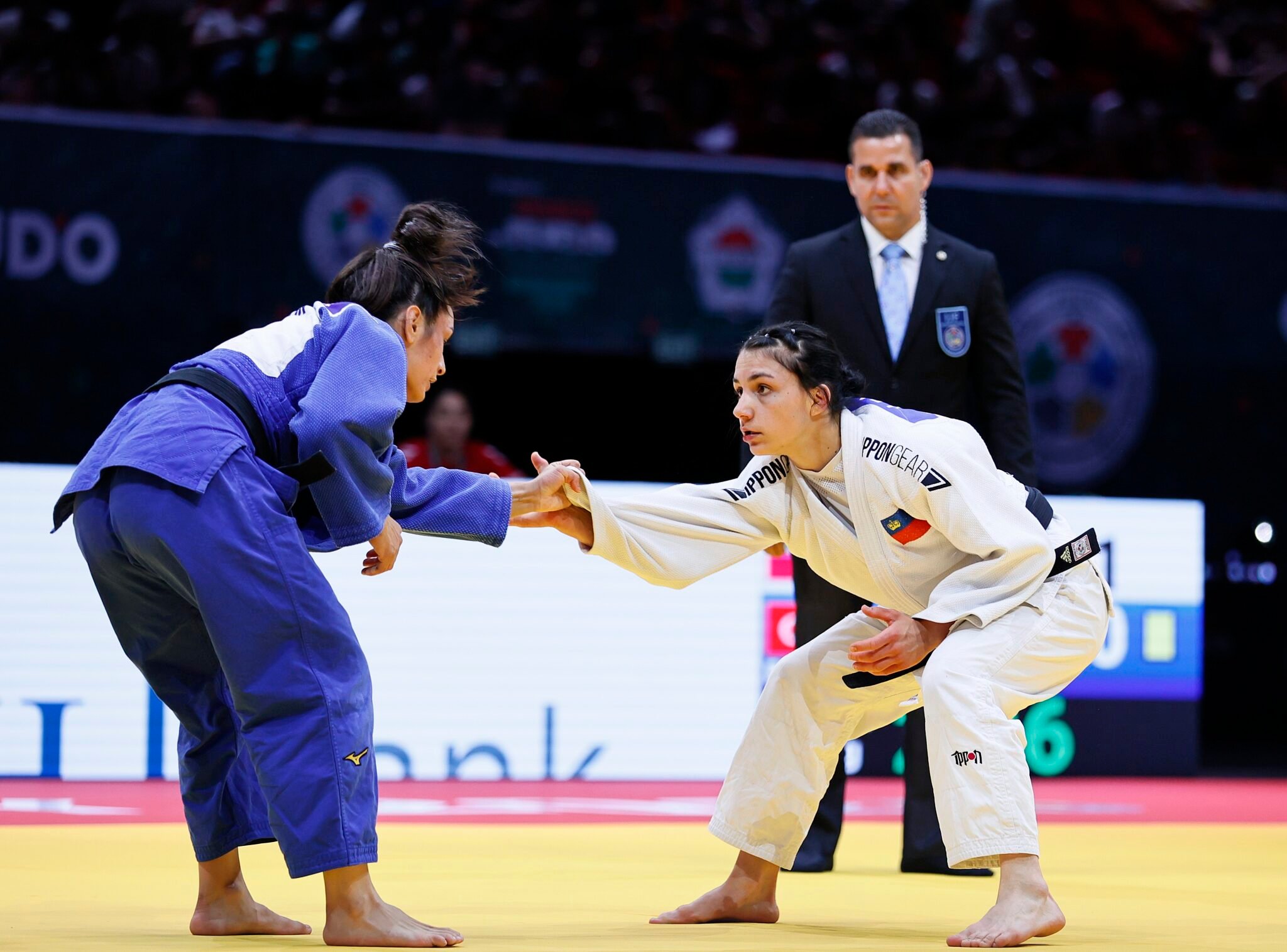 Liechtenstein Returns to the World Stage