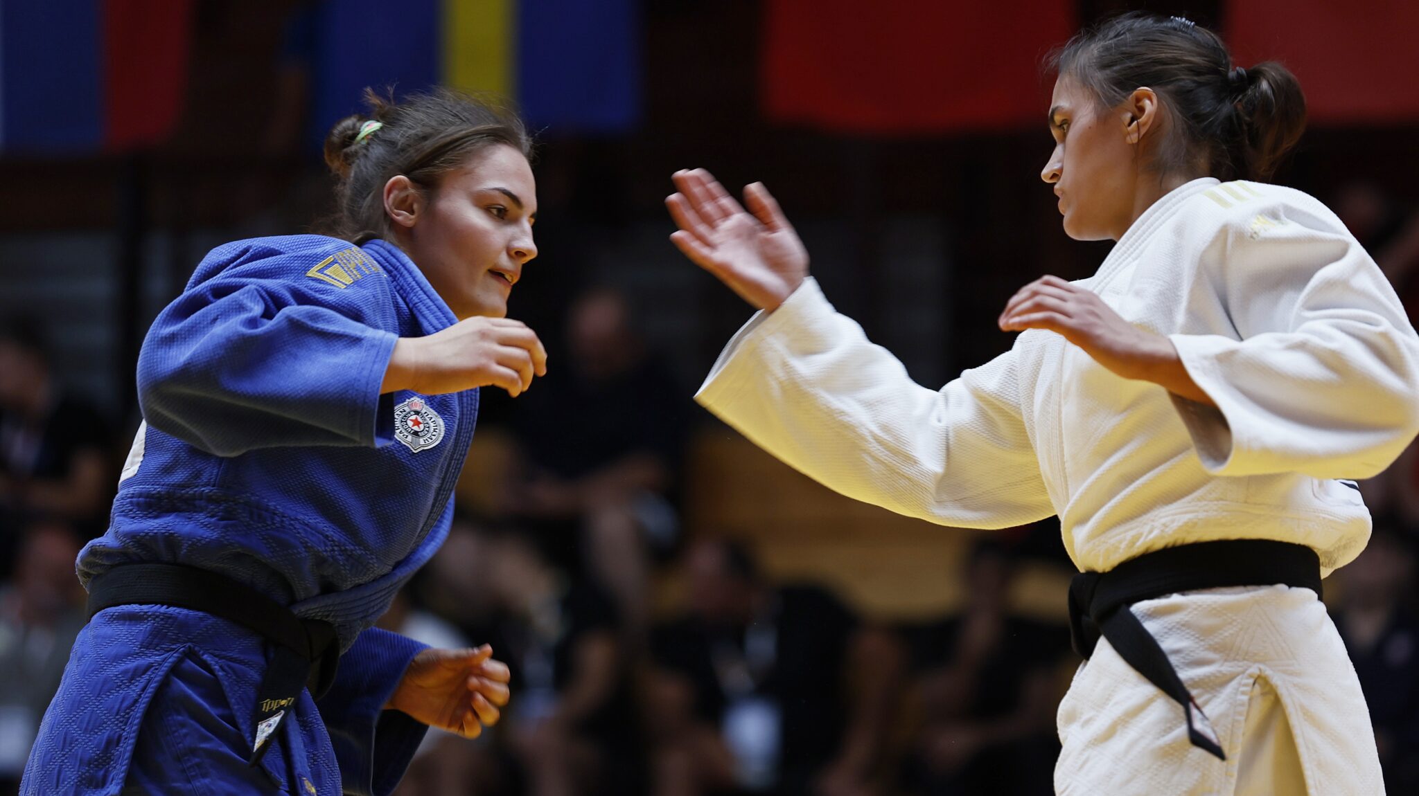 Stjepanovic Strikes Gold and Confidence