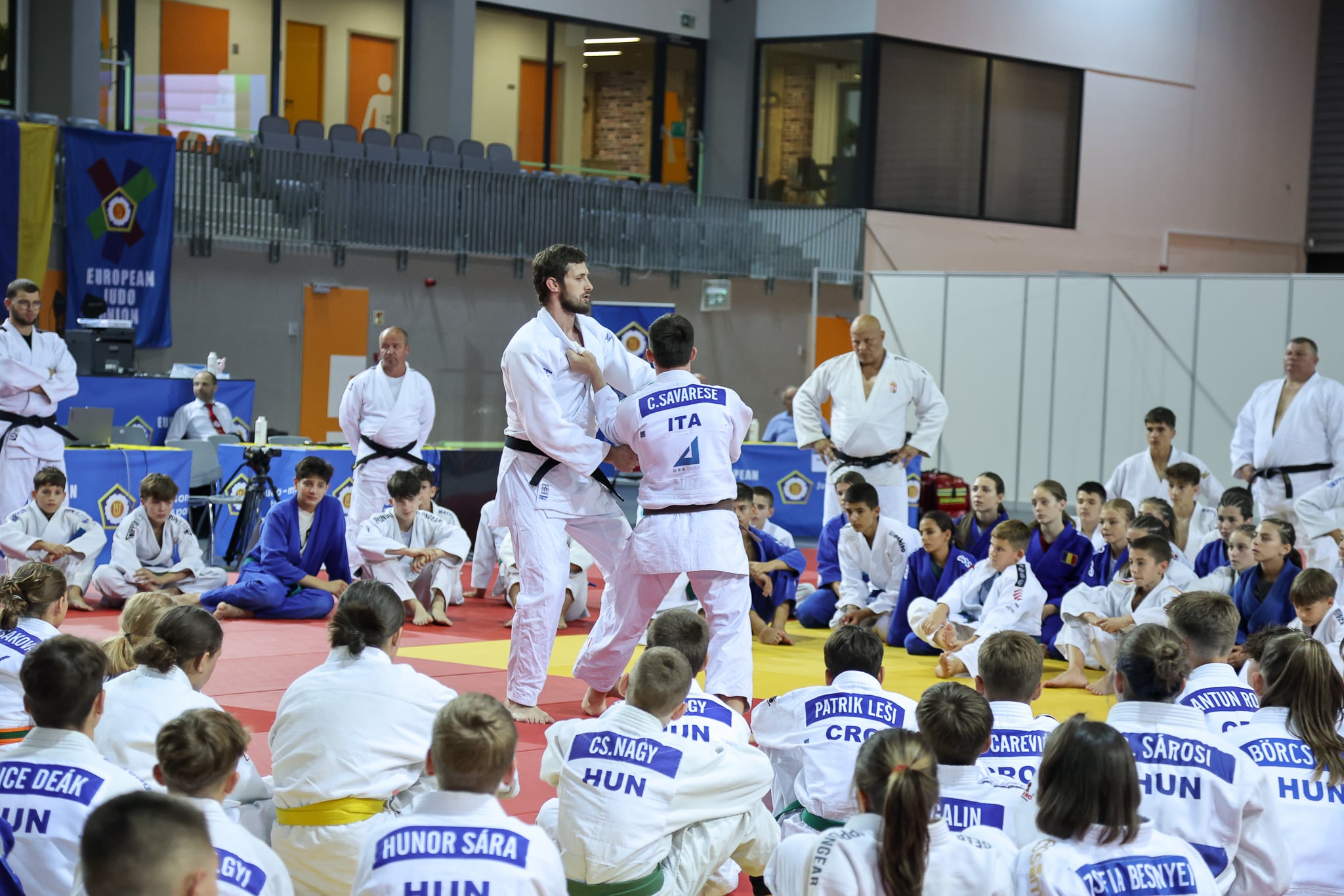 "Curiosity and Effort Decide How Happy You Are”