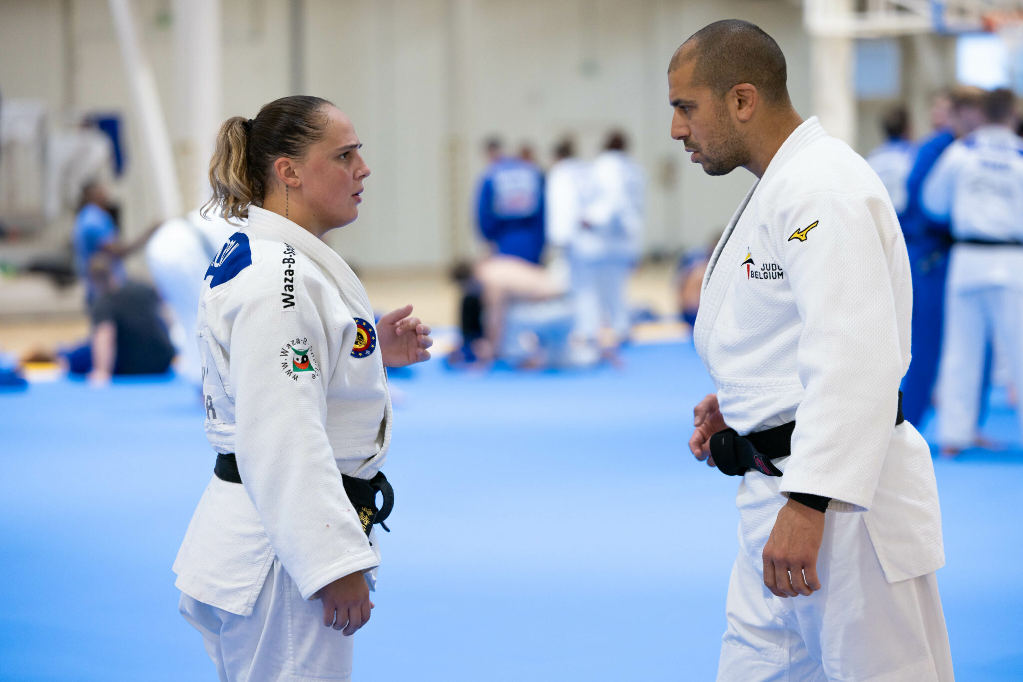 Pedro Guedes: A Brazilian Vision for Belgian Judo