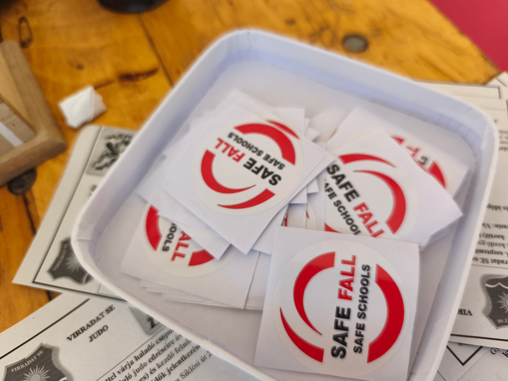 Presentation of the Safe Fall–Safe Schools Project in Pécs