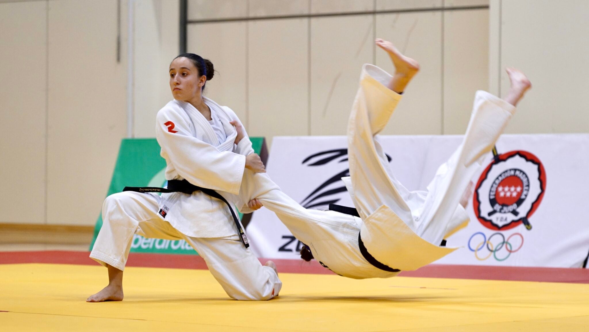 Italy and Spain Shine at the Madrid Kata Tournament 2025