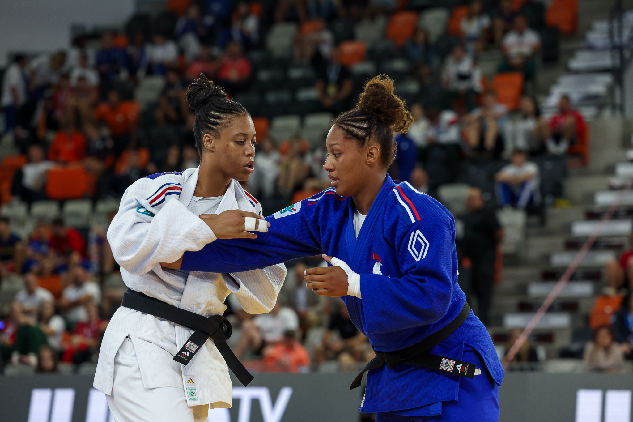 French Heavyweight Dynasty