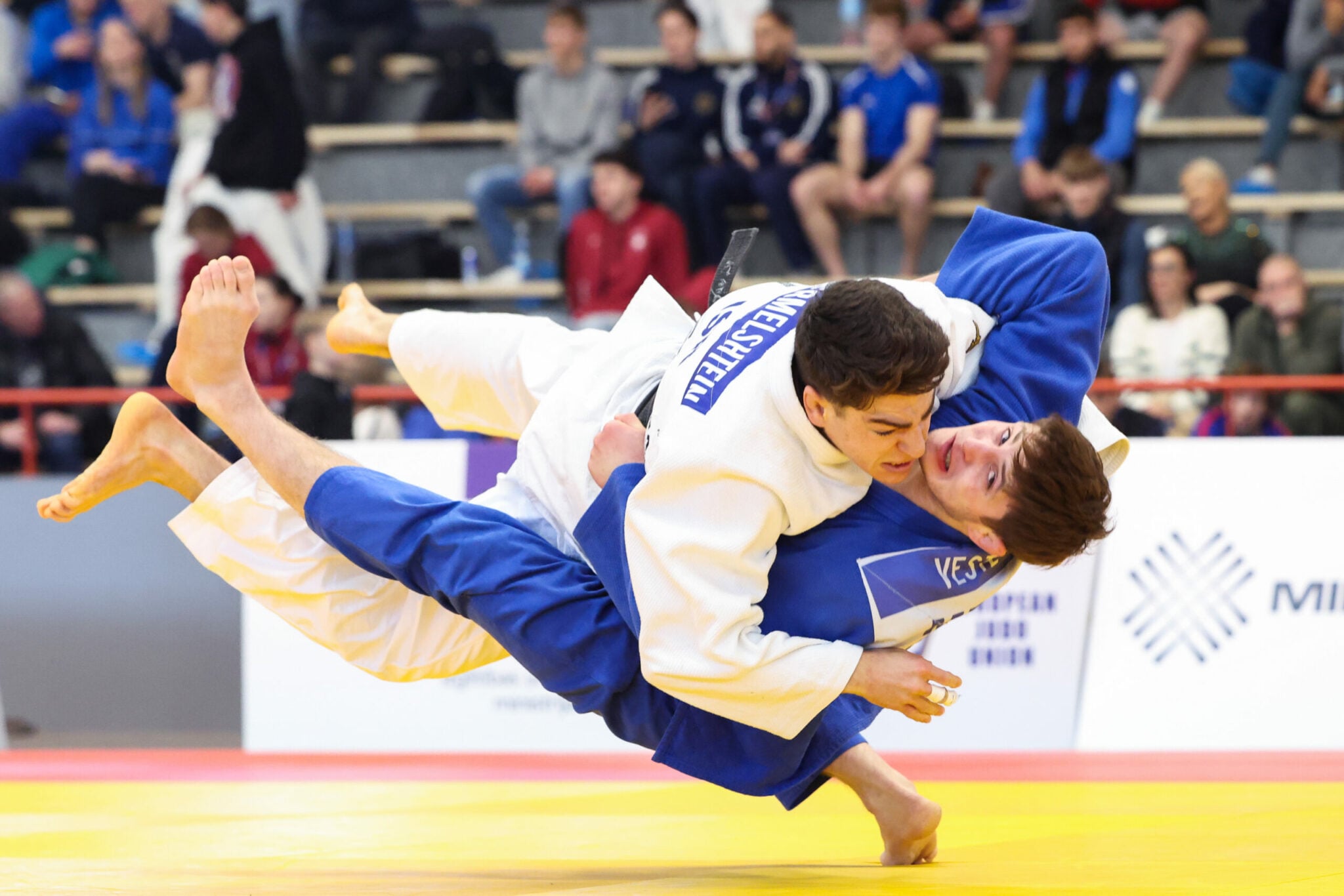 Rising to the Occasion