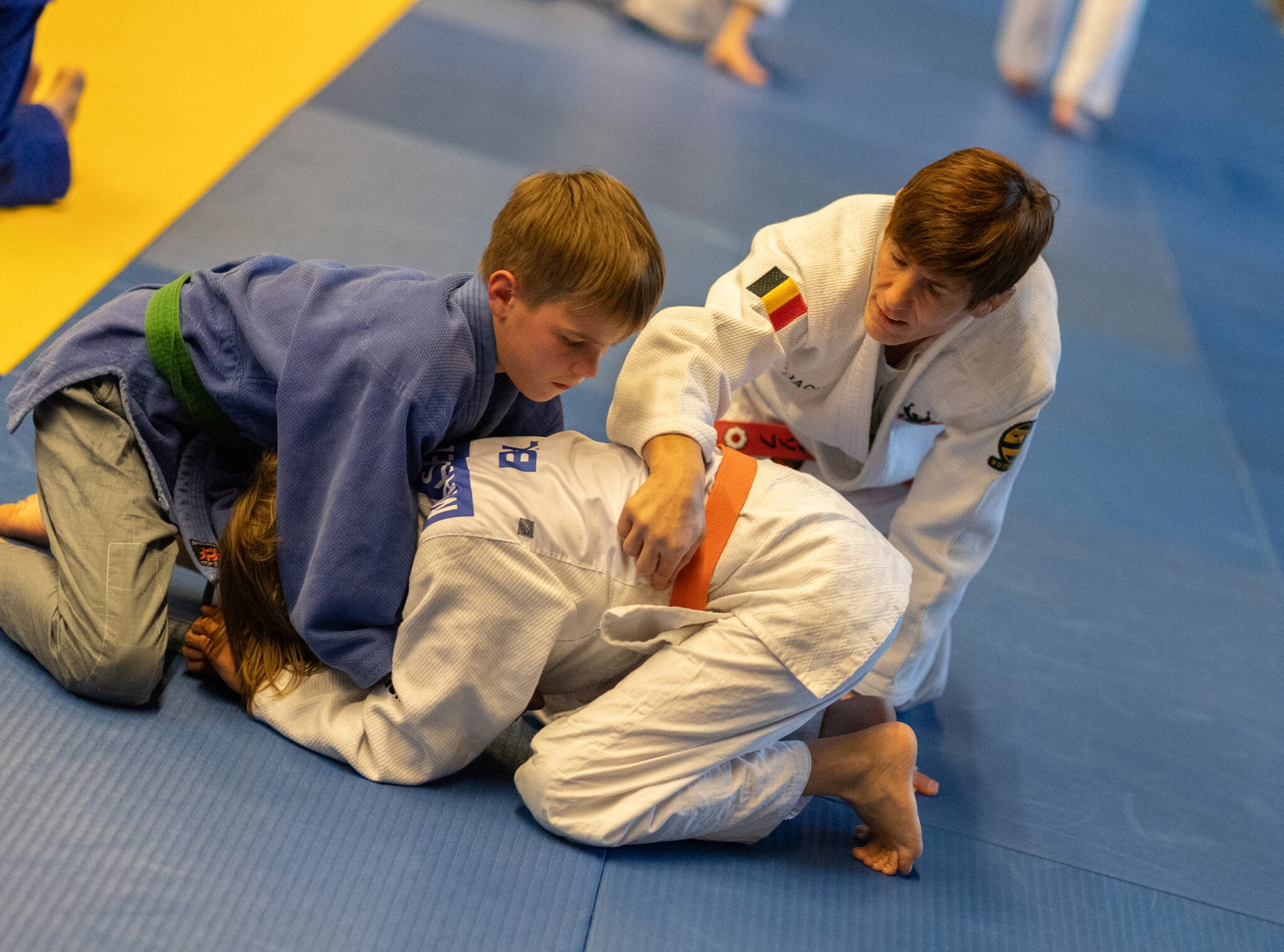 Ilse Heylen&rsquo;s Growing Legacy