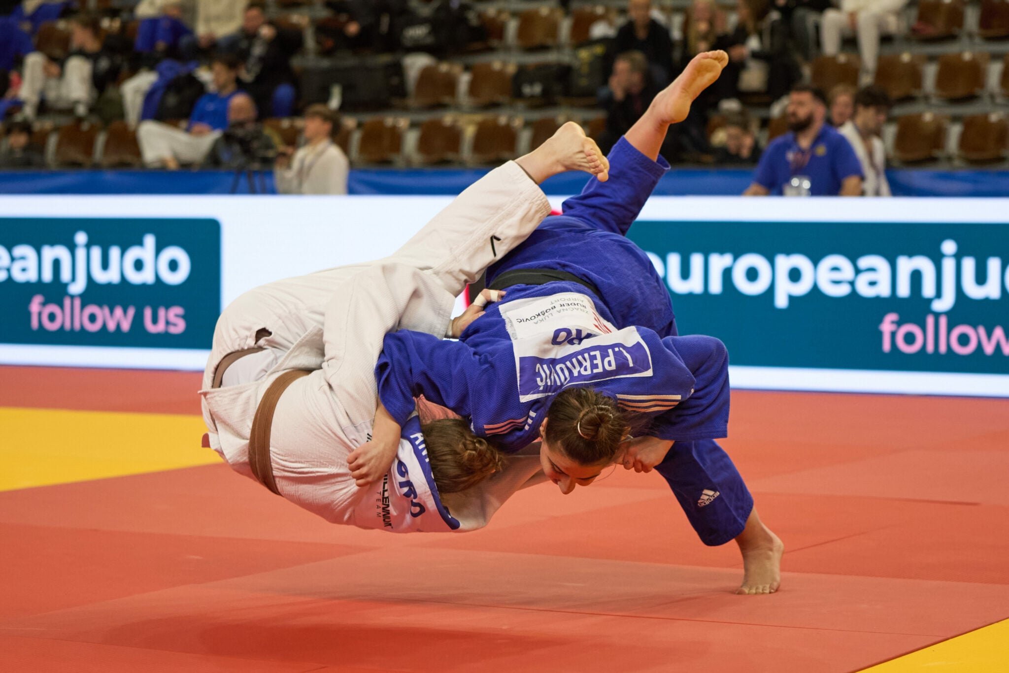 Dubrovnik Delight: Hosts Shine with Gold and Family Success Story