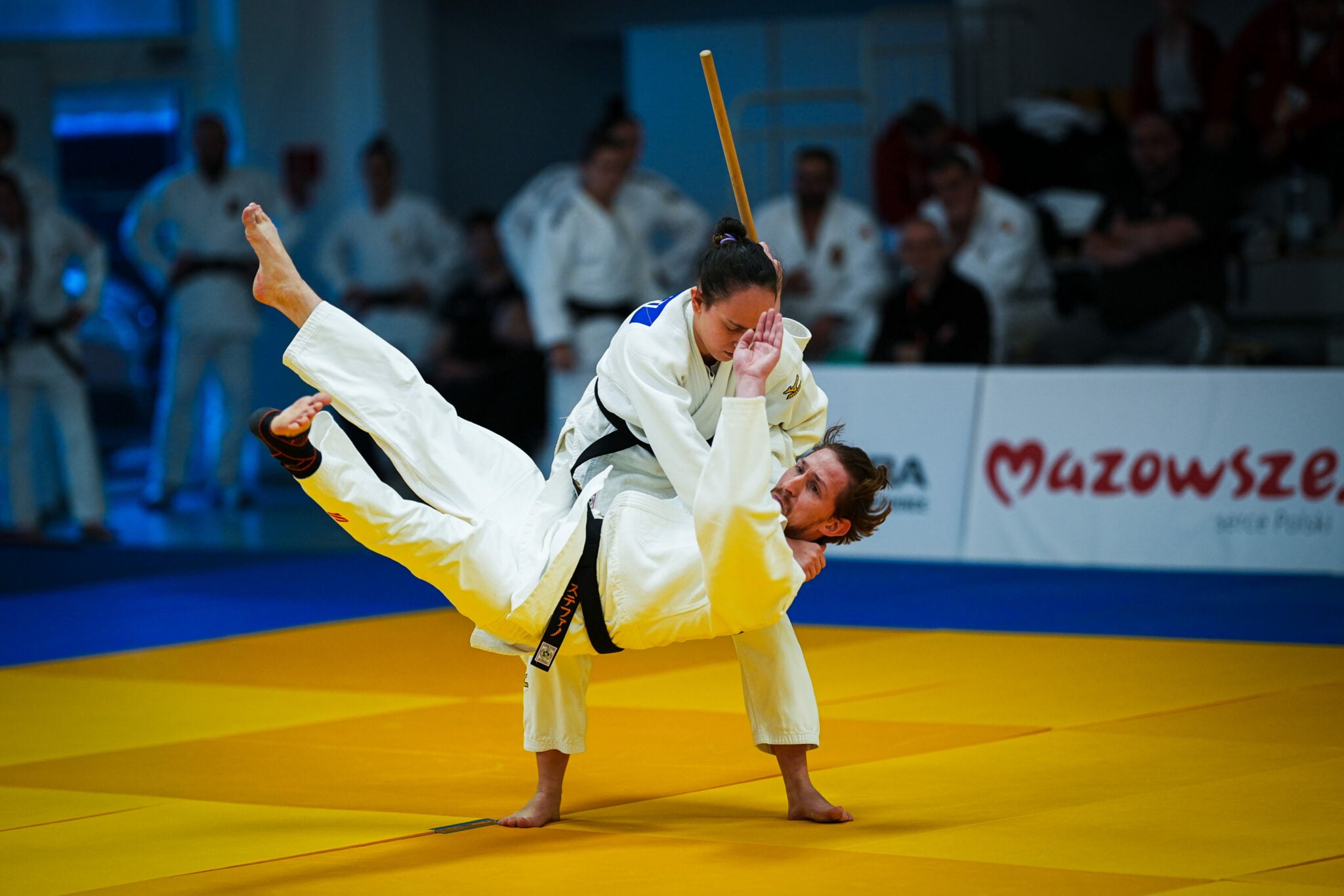 Record-Breaking Radom Signals Strong Future