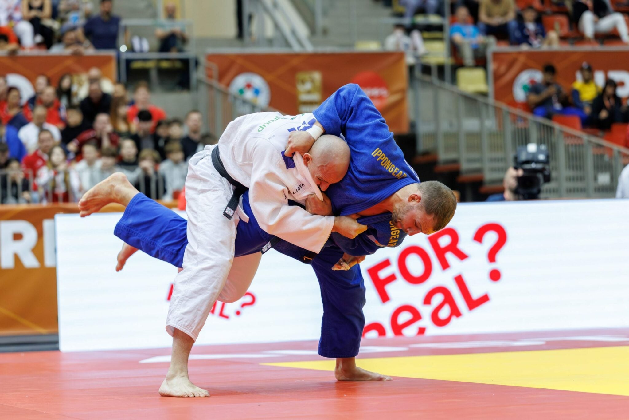 Laurin's Last Appearance